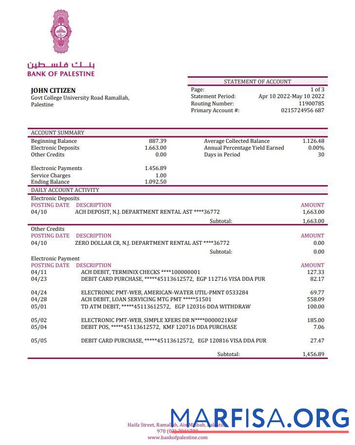 Blank Palestine Bank of Palestine bank statement word template